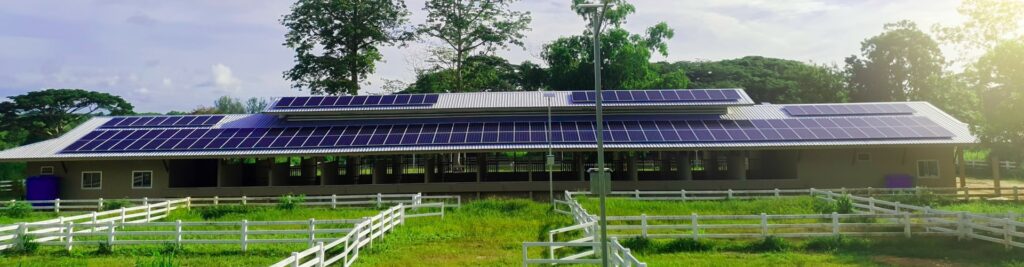 Say Goodbye to WAPDA Bills: Best Solar Panel Company in Lahore, Pakistan